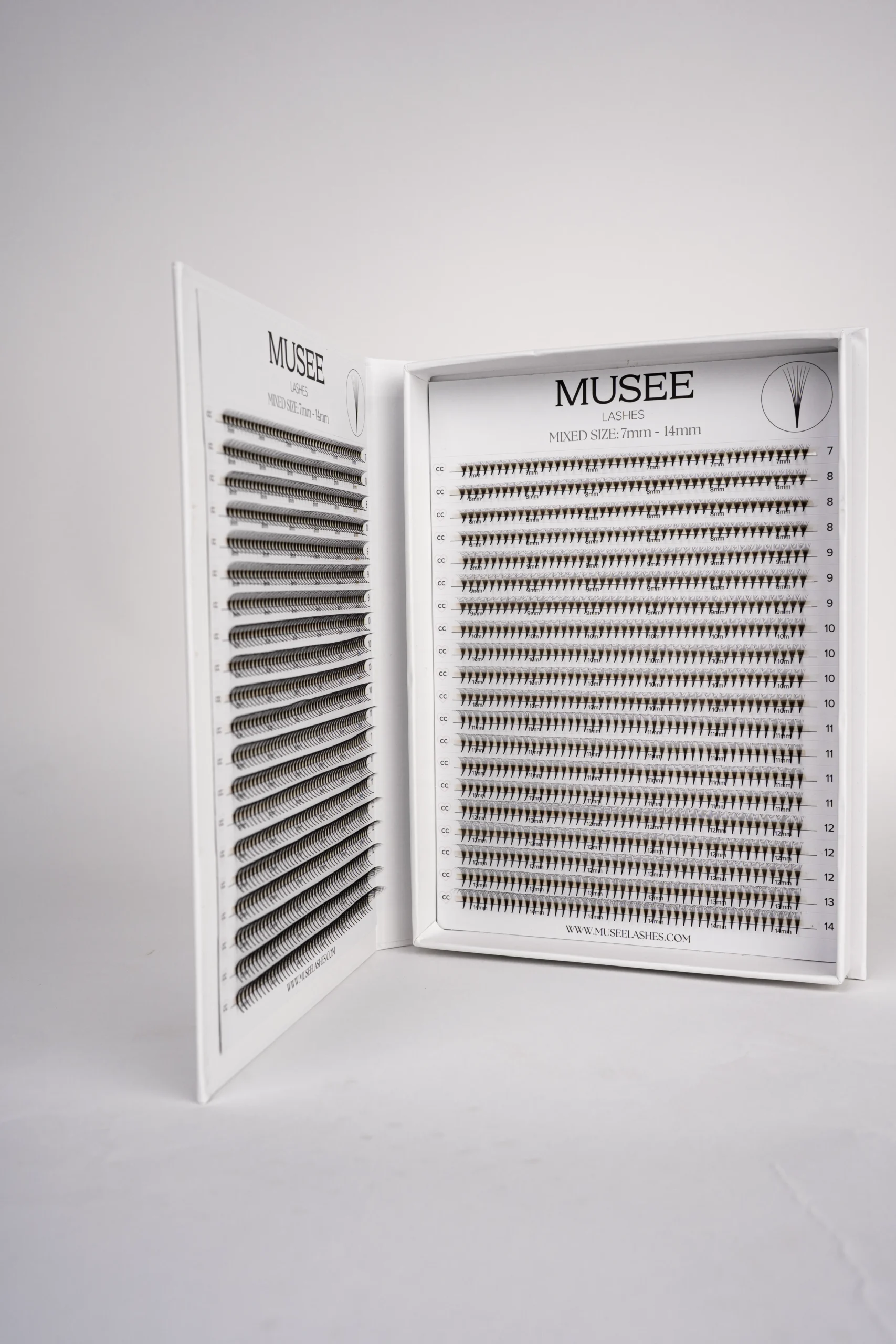 Dettaglio base punta stretta ventaglio pronto 7D Musee Lashes